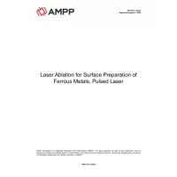 NACE AMPP SP21511-1-2024