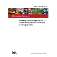 BS PD ISO/TR 18491:2015