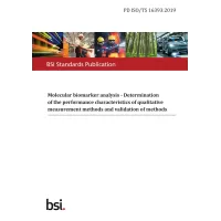 BS PD ISO/TS 16393:2019