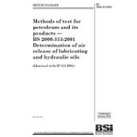 BS 2000-313:2001