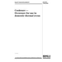 BS DD ENV 13834:2000