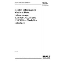 BS DD ENV 13939:2002