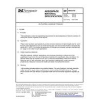 SAE AMS2419C