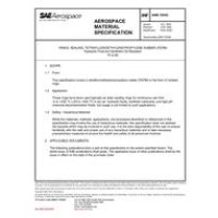 SAE AMS7255C