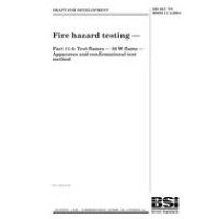 BS DD IEC/TS 60695-11-4:2004