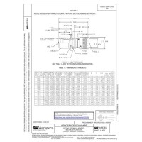 SAE AS5791