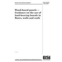 BS DD CEN/TS 12872:2007