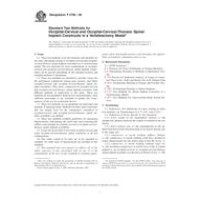 ASTM F2706-08