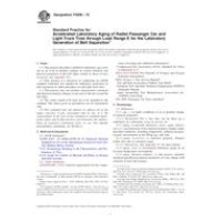ASTM F2838-10