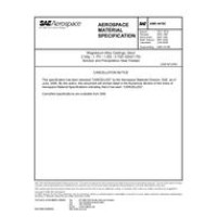 SAE AMS4419C