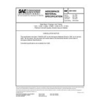 SAE AMS6256C