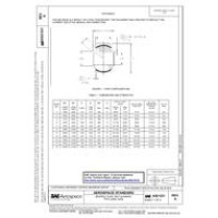 SAE AS21231A