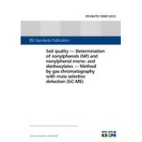 BS PD ISO/TS 13907:2012