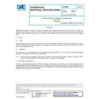 SAE AMS6900B
