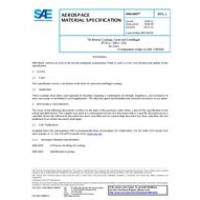 SAE AMS4845J