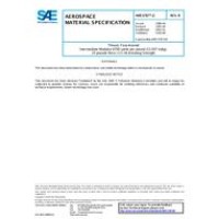 SAE AMS3787/2B