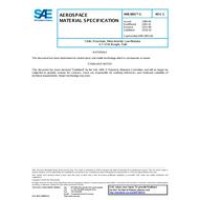 SAE AMS3801/1C