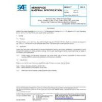 SAE AMS4313E