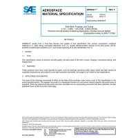 SAE AMS6491F