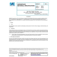SAE AMS6419J