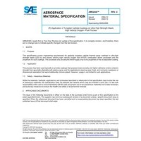 SAE AMS2448C