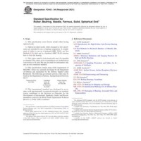 ASTM F2443-04(2021)