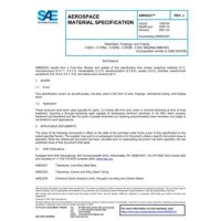 SAE AMS6423J