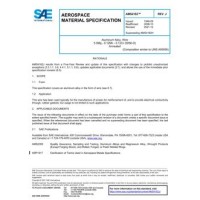 SAE AMS4182J