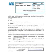 SAE AMS5825J