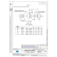 SAE AS125251C