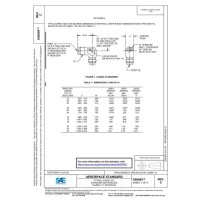 SAE AS6099C