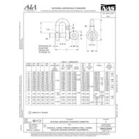 AIA NAS1043