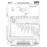 AIA NASM51038