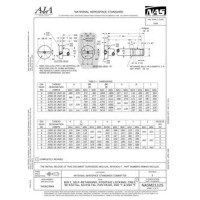 AIA NASM21125