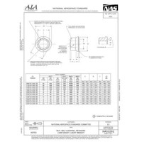 AIA NAS1291