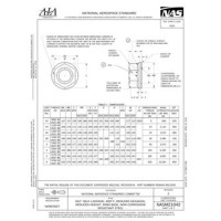 AIA NASM21042
