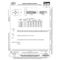 AIA NASM24625