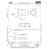 AIA NAS839