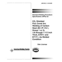 AWS B2.1-1-019
