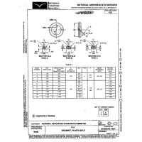 AIA NAS557